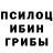 Псилоцибиновые грибы Psilocybe Moony,10:10